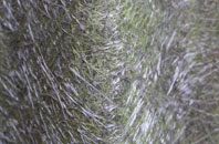 Neilston fibreglass roof work